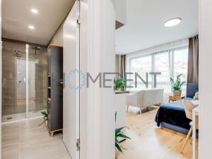 Pronájem bytu 1+kk, Praha - Nusle, Závišova, 30 m2
