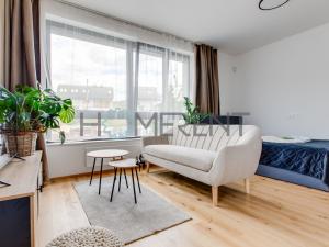 Pronájem bytu 1+kk, Praha - Nusle, Závišova, 30 m2