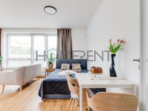 Pronájem bytu 1+kk, Praha - Nusle, Závišova, 30 m2