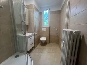 Pronájem bytu 2+1, České Budějovice - České Budějovice 4, 48 m2