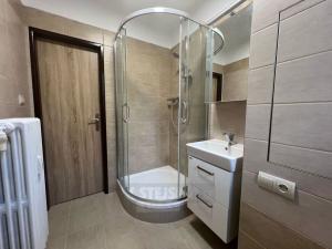 Pronájem bytu 2+1, České Budějovice - České Budějovice 4, 48 m2