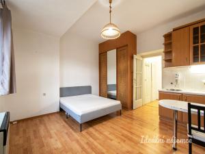 Pronájem bytu 1+kk, Praha - Libeň, Na Rokytce, 29 m2