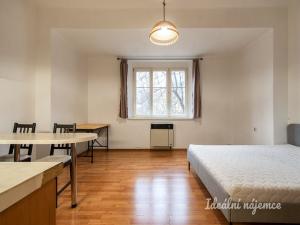 Pronájem bytu 1+kk, Praha - Libeň, Na Rokytce, 29 m2