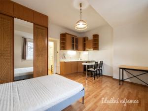 Pronájem bytu 1+kk, Praha - Libeň, Na Rokytce, 29 m2