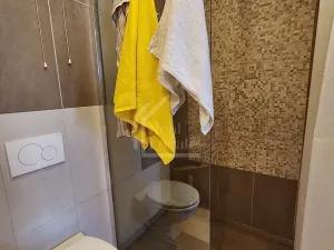 Pronájem pokoje, Praha - Nové Město, Legerova, 107 m2