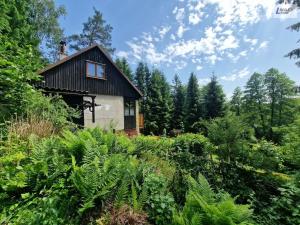 Prodej chaty, Trhová Kamenice, 43 m2