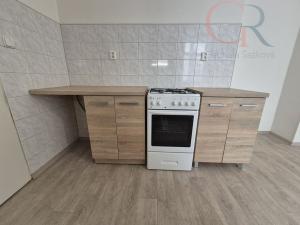 Pronájem bytu 2+kk, Plzeň - Vnitřní Město, Veleslavínova, 50 m2