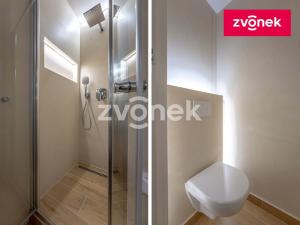 Prodej bytu 1+kk, Zlín, Družstevní, 35 m2