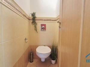 Pronájem bytu 3+kk, Praha - Libeň, Krejčího, 78 m2