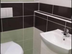 Pronájem bytu 1+1, Aš, Dlouhá, 38 m2