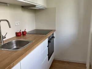 Prodej bytu 1+1, Praha - Troja, Písečná, 37 m2