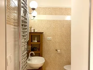 Pronájem bytu 2+kk, Děčín, Nerudova, 61 m2