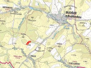 Prodej lesa, Budišov nad Budišovkou, 40440 m2