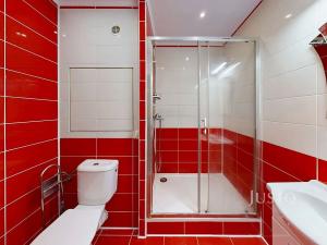 Pronájem bytu 2+kk, České Budějovice, N. Frýda, 46 m2