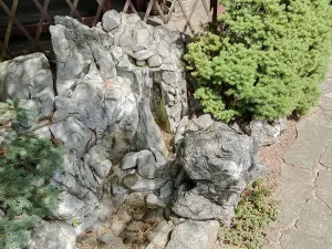 Prodej - jiné, Ochoz u Brna, 51 m2