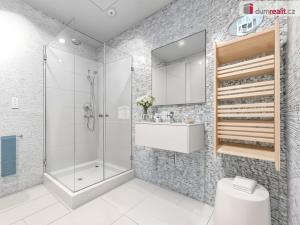 Prodej rodinného domu, Děčín - Děčín XI-Horní Žleb, Labské nábř., 250 m2