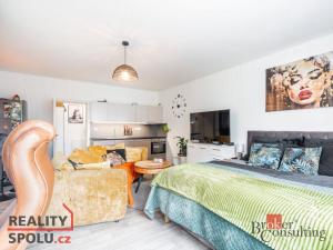 Prodej bytu 1+kk, Světlá nad Sázavou - Mrzkovice, 37 m2