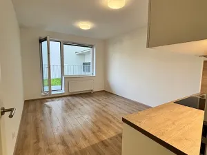Pronájem bytu 1+kk, Brno, Spolková, 37 m2