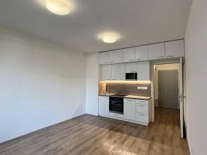 Pronájem bytu 1+kk, Brno, Spolková, 37 m2