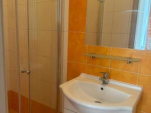 Pronájem bytu 2+kk, Plzeň - Jižní Předměstí, V Šipce, 36 m2