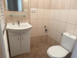 Pronájem bytu 2+kk, Plzeň - Jižní Předměstí, V Šipce, 36 m2
