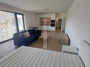Pronájem bytu 1+kk, Brno, Auerswaldova, 46 m2
