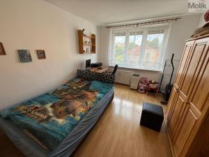 Prodej bytu 2+1, Louny, Kpt. Nálepky, 63 m2