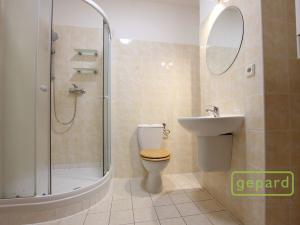Pronájem bytu 2+kk, Brno - Brno-město, Jezuitská, 35 m2