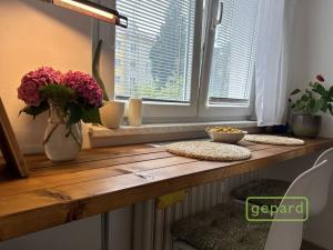 Prodej bytu 1+1, Olomouc, Wolkerova, 36 m2