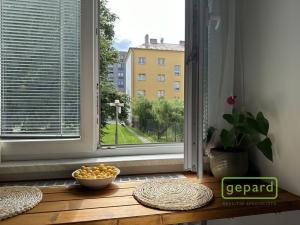 Prodej bytu 1+1, Olomouc, Wolkerova, 36 m2