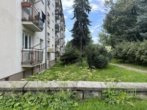 Prodej bytu 1+1, Olomouc, Wolkerova, 36 m2