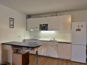 Pronájem bytu 1+kk, Olomouc, Černá cesta, 47 m2