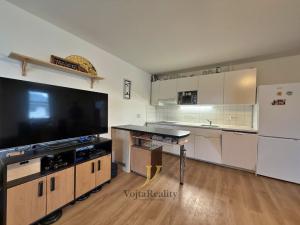 Pronájem bytu 1+kk, Olomouc, Černá cesta, 47 m2