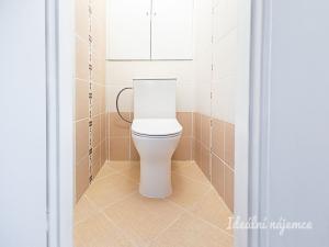 Pronájem bytu 2+kk, Praha, Štichova, 42 m2