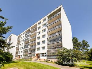 Pronájem bytu 2+kk, Praha, Štichova, 42 m2