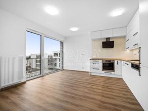 Pronájem bytu 2+kk, Plzeň - Újezd, Safírová, 54 m2