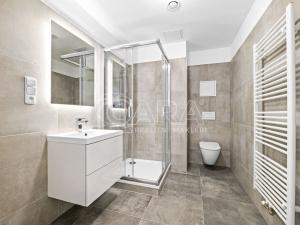 Pronájem bytu 2+kk, Plzeň - Újezd, Safírová, 54 m2