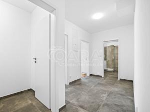 Pronájem bytu 2+kk, Plzeň - Újezd, Safírová, 54 m2