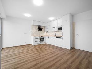 Pronájem bytu 2+kk, Plzeň - Újezd, Safírová, 54 m2