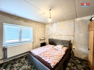 Prodej rodinného domu, Město Albrechtice - Opavice, 250 m2