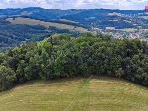 Prodej louky, Prlov, 14409 m2