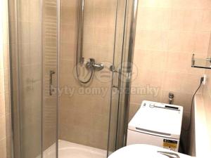 Pronájem bytu 2+kk, Plzeň - Bolevec, U Velkého rybníka, 51 m2