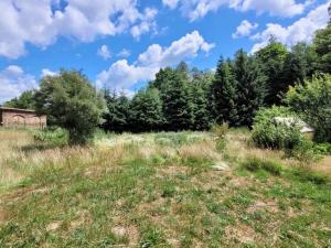 Prodej pozemku pro bydlení, Pacov, Vejvarka, 1320 m2