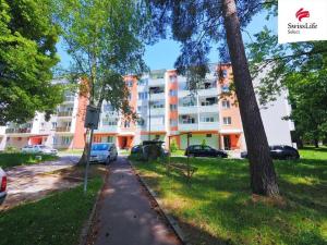 Prodej bytu 3+kk, Žďár nad Sázavou, Neumannova, 67 m2