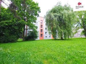 Prodej bytu 3+kk, Žďár nad Sázavou, Neumannova, 67 m2