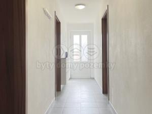 Prodej rodinného domu, Pasohlávky, 297 m2