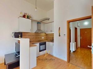 Pronájem bytu 1+kk, Olomouc, Wolkerova, 29 m2
