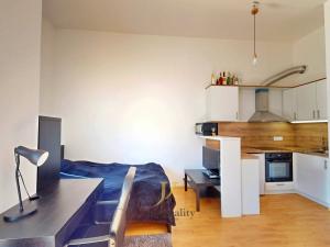 Pronájem bytu 1+kk, Olomouc, Wolkerova, 29 m2