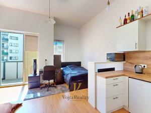Pronájem bytu 1+kk, Olomouc, Wolkerova, 29 m2