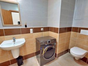 Pronájem bytu 1+kk, Olomouc, Wolkerova, 29 m2
